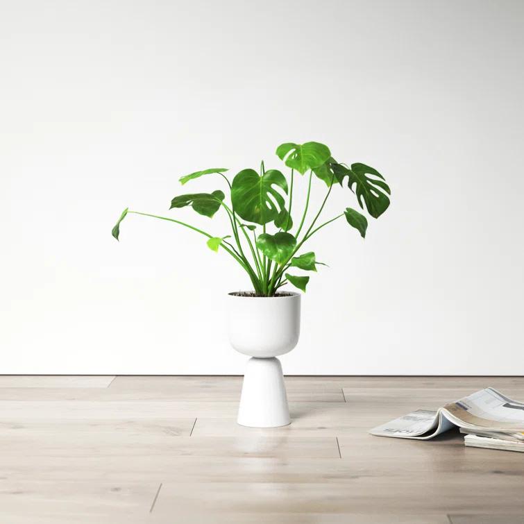 Juba Ceramic Urn Planter