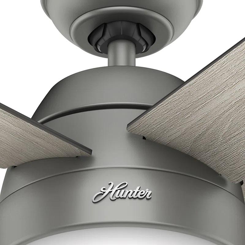 Hunter Fan 46" Anslee Standard Ceiling Fan with Pull Chain and Light Kit Included