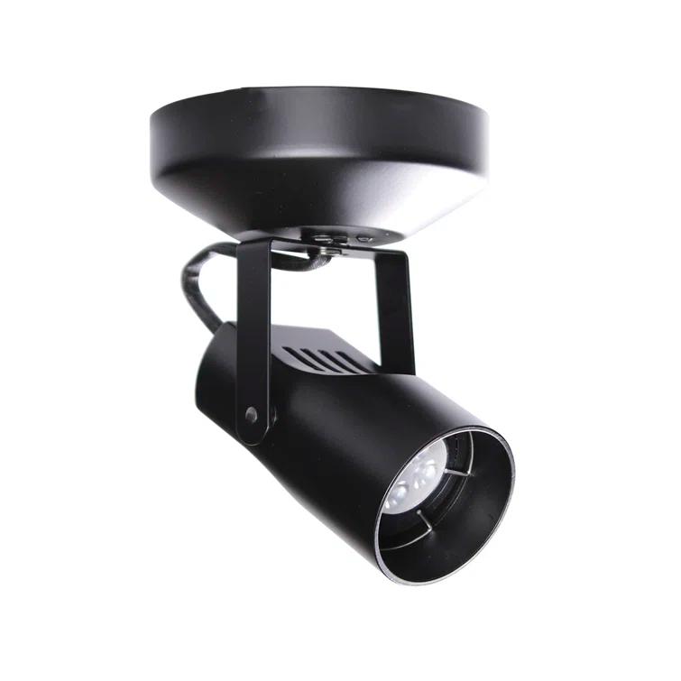 WAC Lighting Spotlight