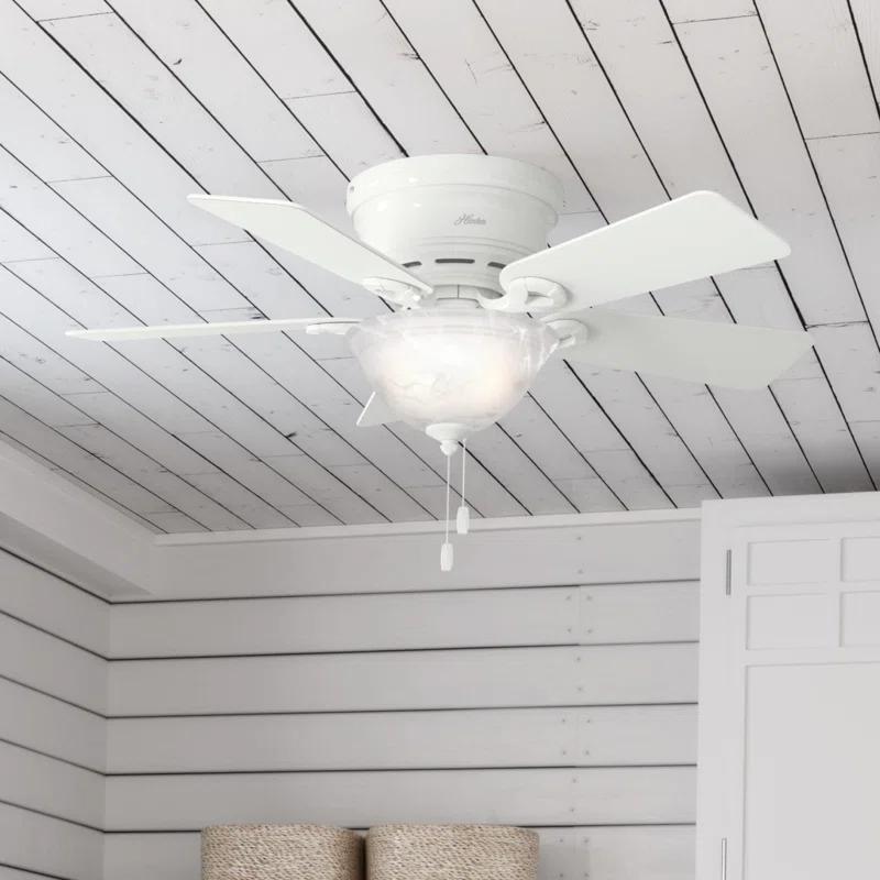 42'' Conroy 5 - Blade Flush Mount Ceiling Fan with Pull Chain and Light Kit Included