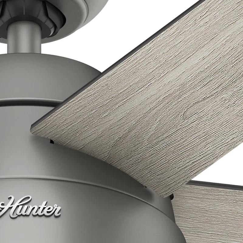 Hunter Fan 46" Anslee Standard Ceiling Fan with Pull Chain and Light Kit Included