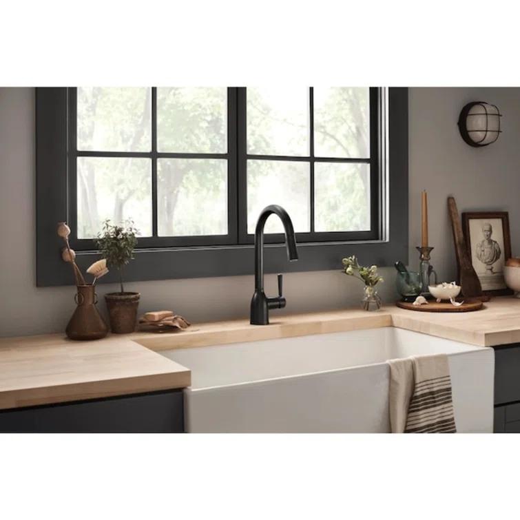 Moen Adler Pull Down Single Handle Kitchen Faucet with Accessories 87233BL