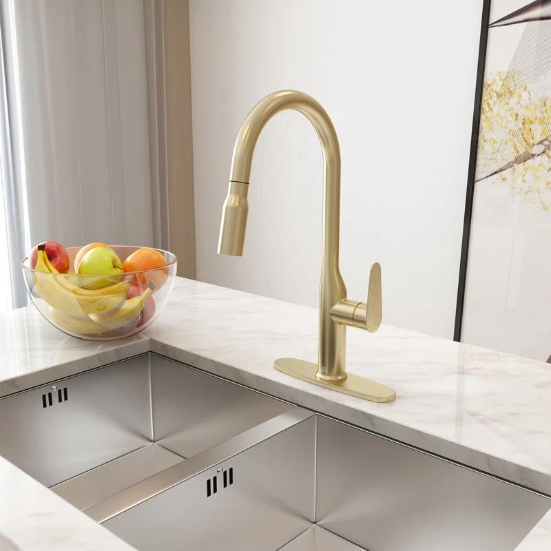 CASAINC CASAINC Single-Handle Pull-Down Kitchen Faucet Single Hole Faucet CA-D4171-BG