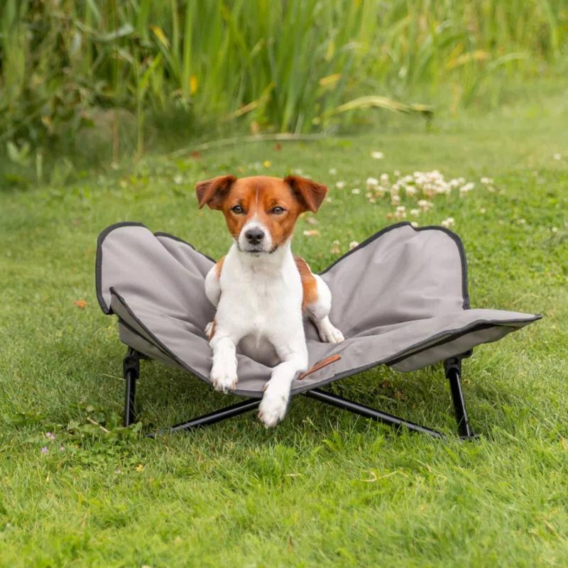 TRIXIE TRIXIE Camping Cot for Dogs, Elevated Dog Bed, Folding Padded Pet Bed, Raised Travel Lounger for Dogs