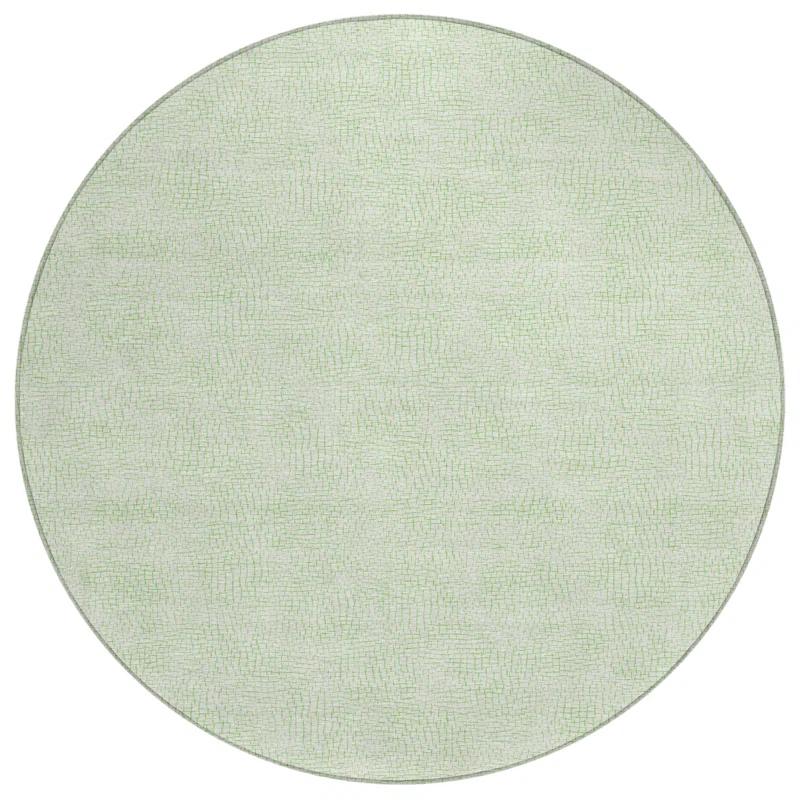 Machine Washable Indoor/Outdoor Chayden ACN1058 Mint Rug