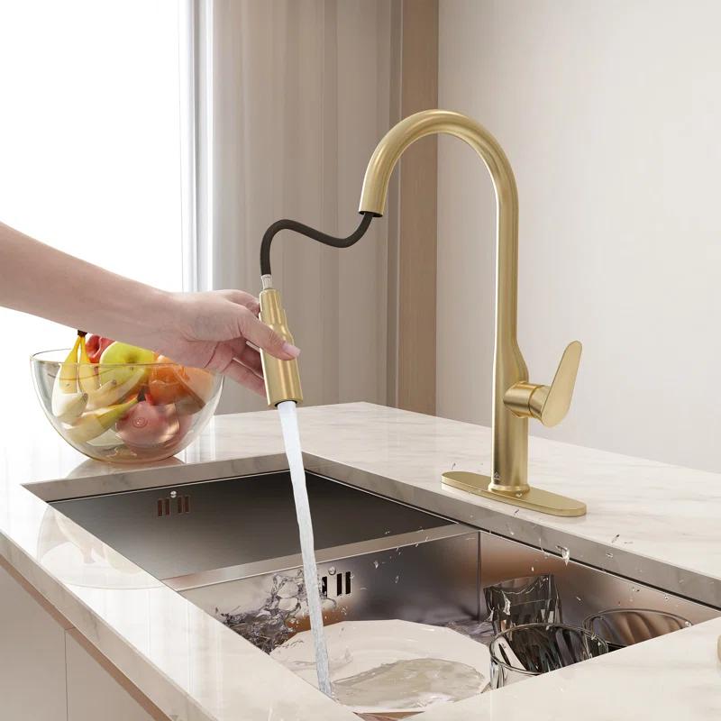 CASAINC CASAINC Single-Handle Pull-Down Kitchen Faucet Single Hole Faucet CA-D4171-BG
