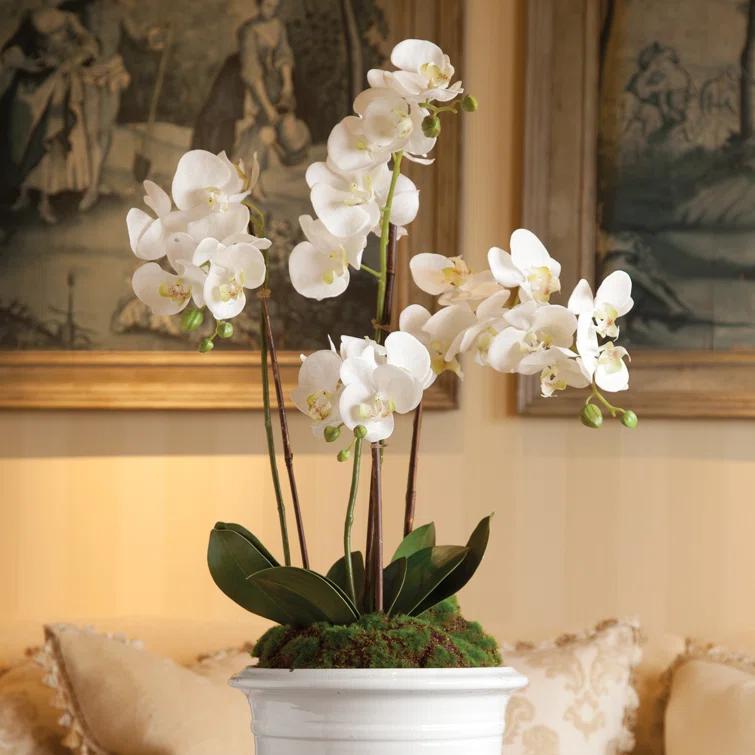 Napa Home and Garden Hand-crafted Phalaenopsis Orchid 30 inch Tall Drop-In