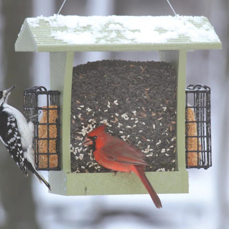 Birds Choice Hanging Suet Bird Feeder