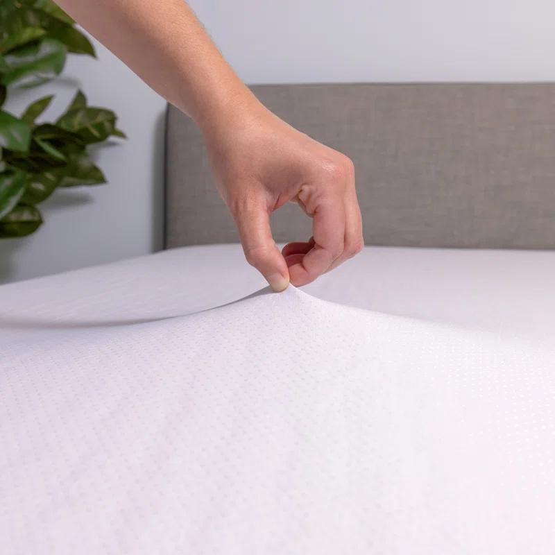 Purple Purple Waterproof Mattress Protector Standard