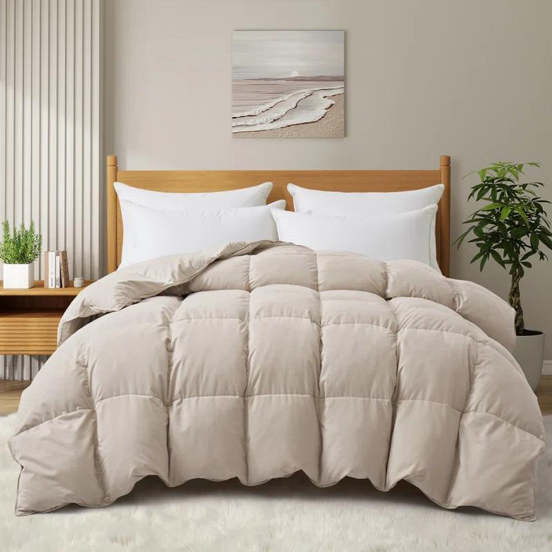 Alwyn Home 600in³/oz Fill Power Winter Goose Down Comforter