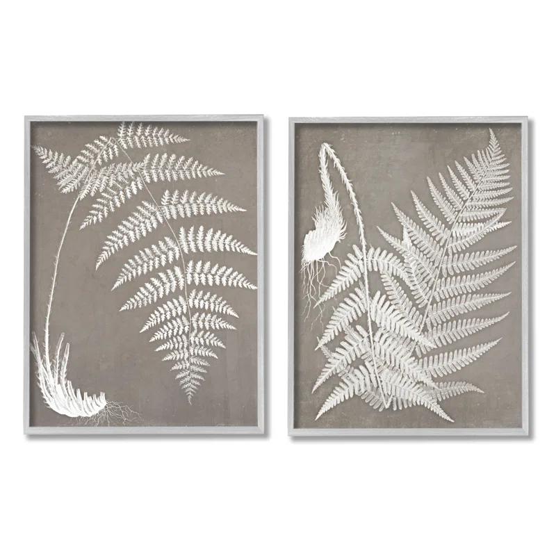 Stupell Industries " Detailed Fern Plant White Botanical Herb Roots " by Graffitee Studios 2 - Pieces