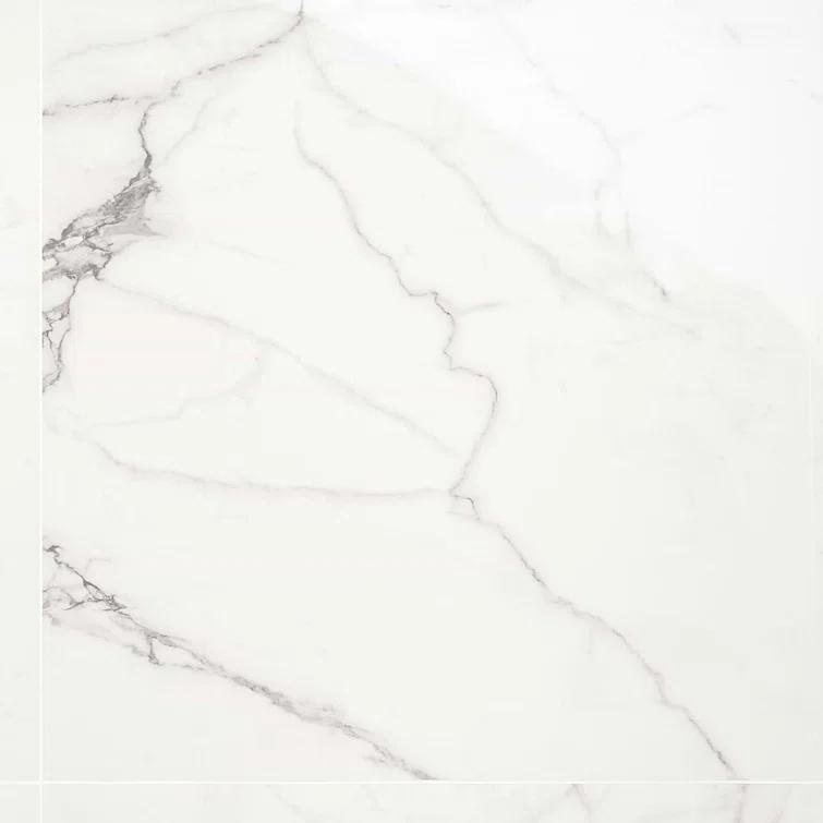 24" x 24" Polished Marble Look Porcelain Floor and Wall Tile (15.5 Sq. Ft. / Case)