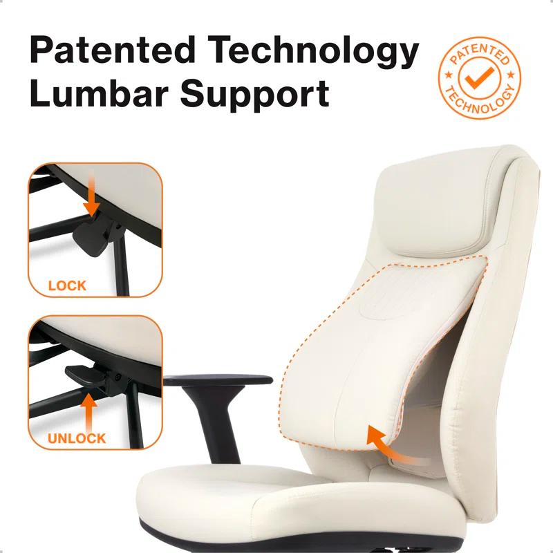 Wellnewlife Wellnew Posturelift Ergonomic Office Chair