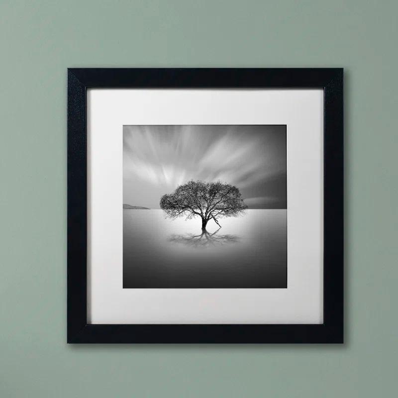 Trademark Fine Art Water Tree VIII Framed Photographic Print on Canvas & Reviews | Wayfair