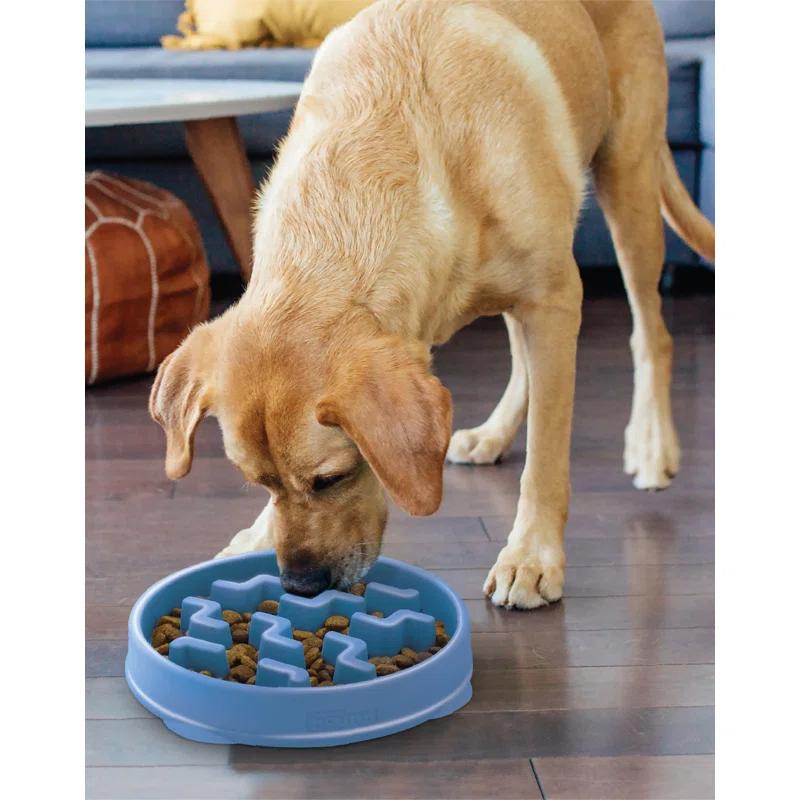 Outward Hound Outward Hound Fun Feeder Slow Bowl, Slow Feeder Dog Bowl, Blue