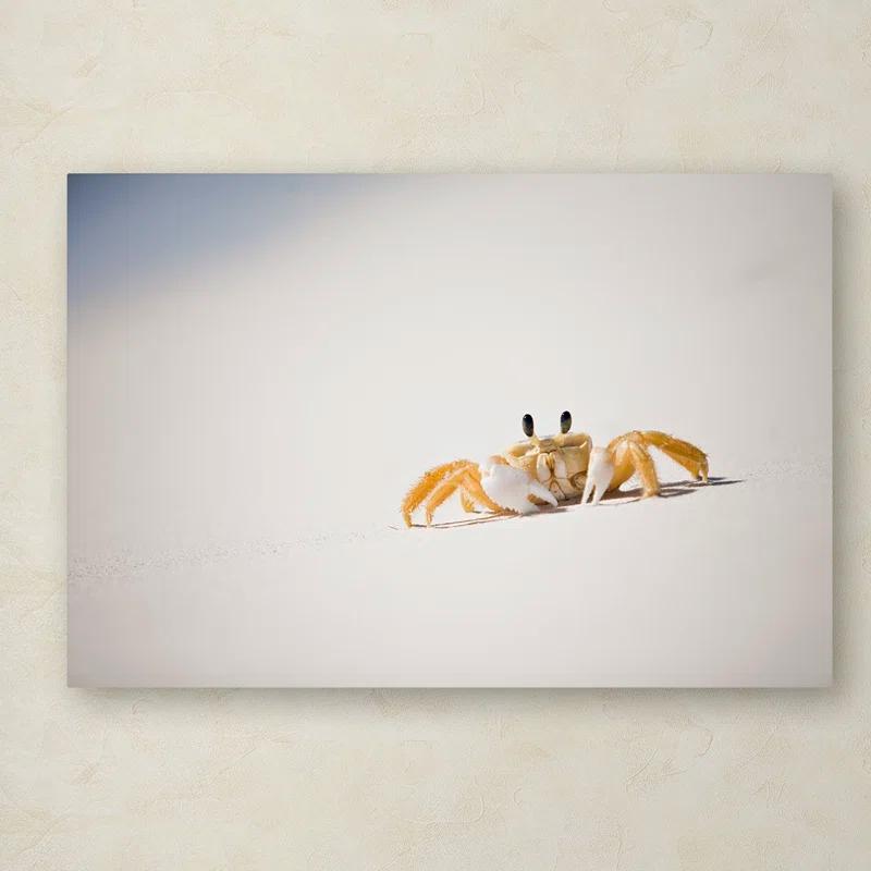 Trademark Fine Art Jason Shaffer " Ghost Crab 7 " by Yale Gurney