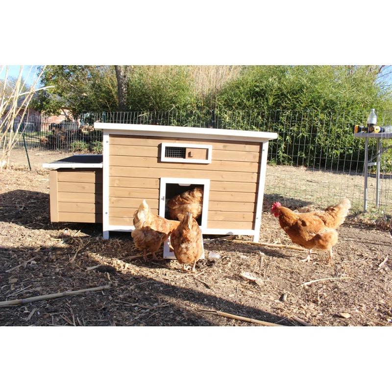 11.88 Square Feet Chicken Coop with Nesting Box For Up To 2 Chickens