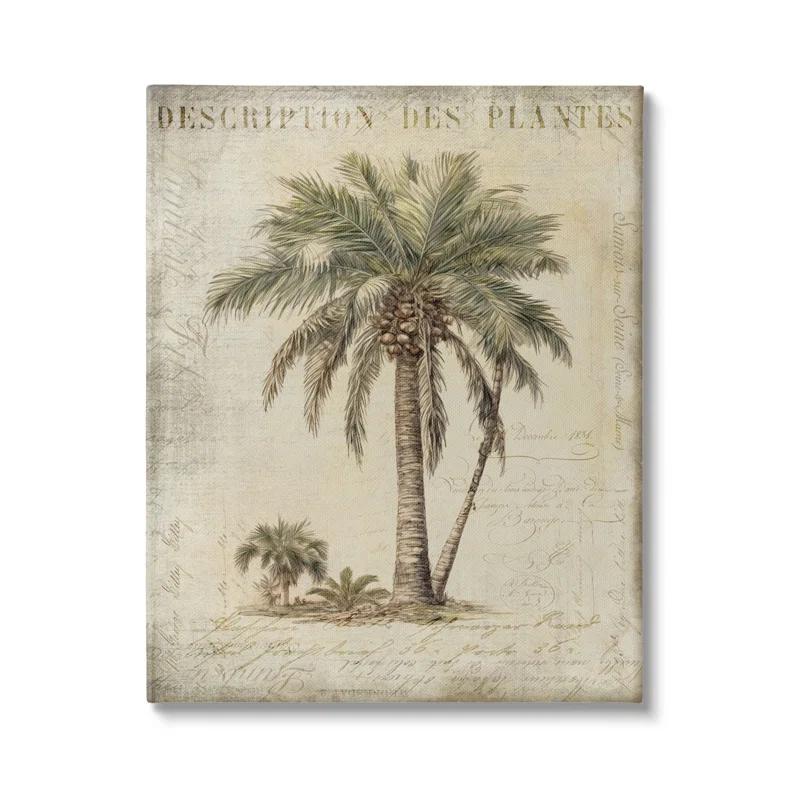 " Vintage Palm Tree Study " by Andrea Haase