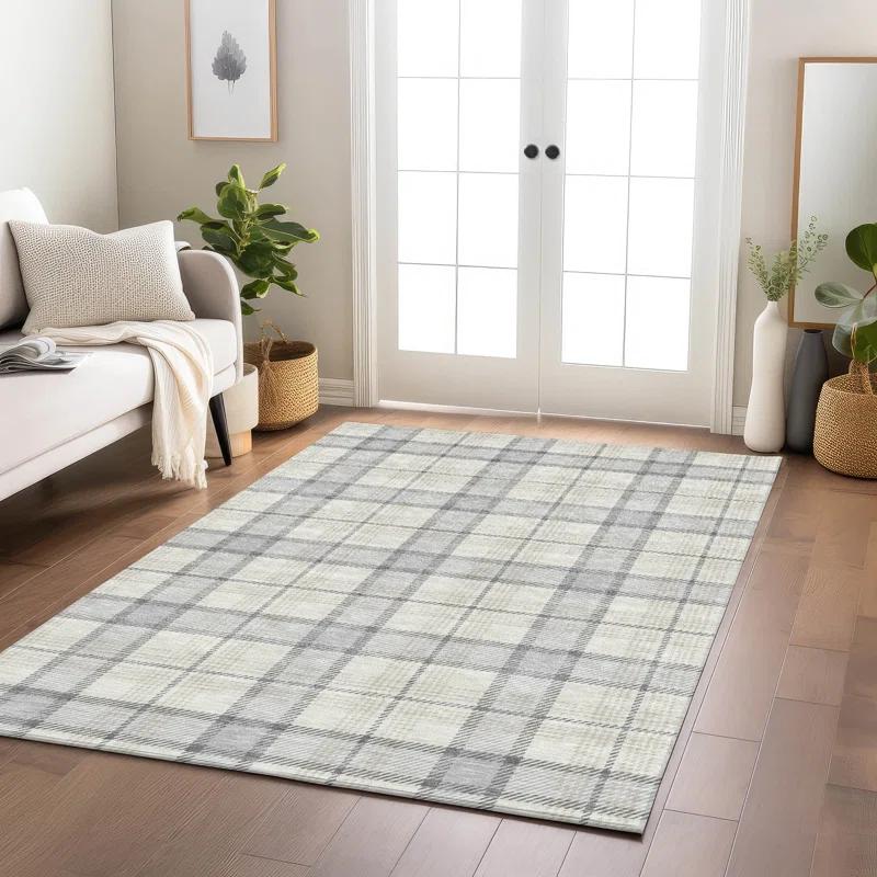 Machine Washable Indoor/Outdoor Chayden ACN1052 Silver Rug