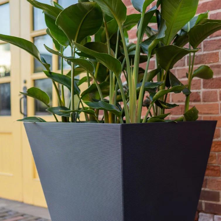 Pro Series Linear Thirty Planter