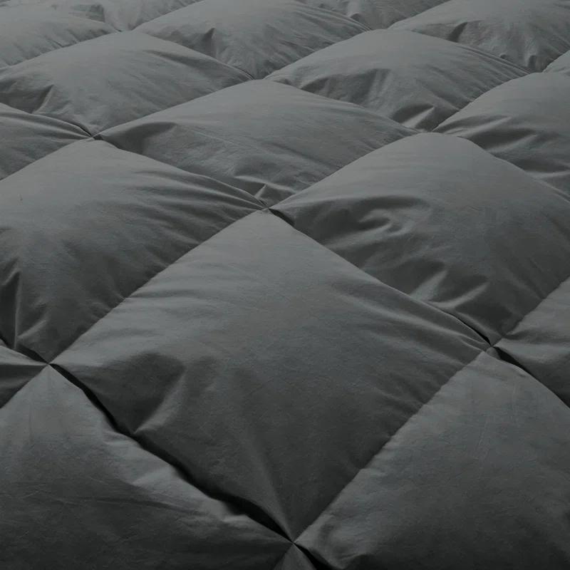 Alwyn Home 600 Fill Power All Seasons Down Comforter