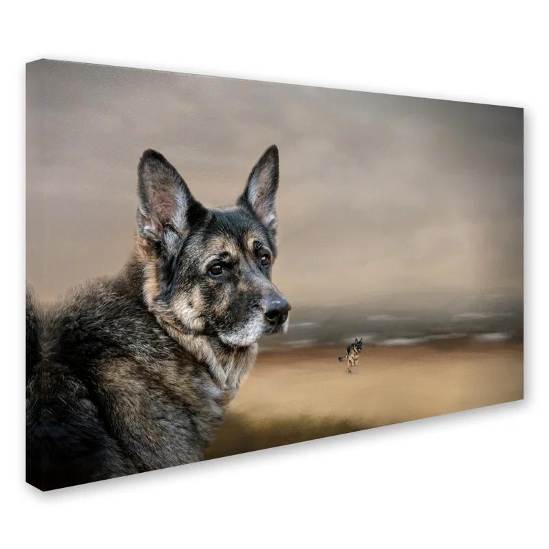 Trademark Fine Art Jai Johnson " German Shepherd Dreaming Of The Beach " by Jai Johnson