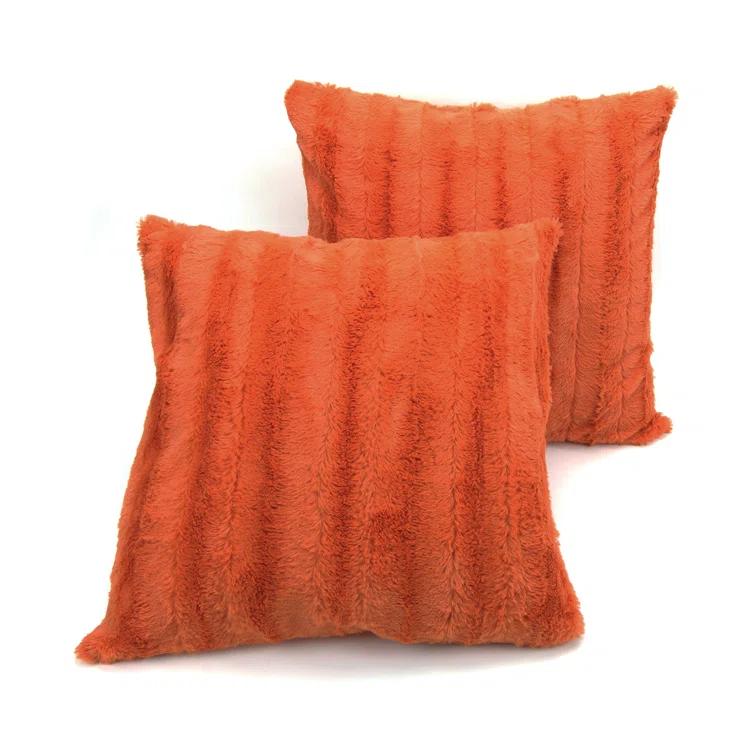 Cheer Collection FRBIN Square Pillow Cover & Insert (Set of 2)