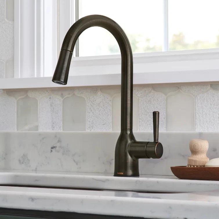 Moen Adler Pull Down Single Handle Kitchen Faucet with Accessories 87233BRB