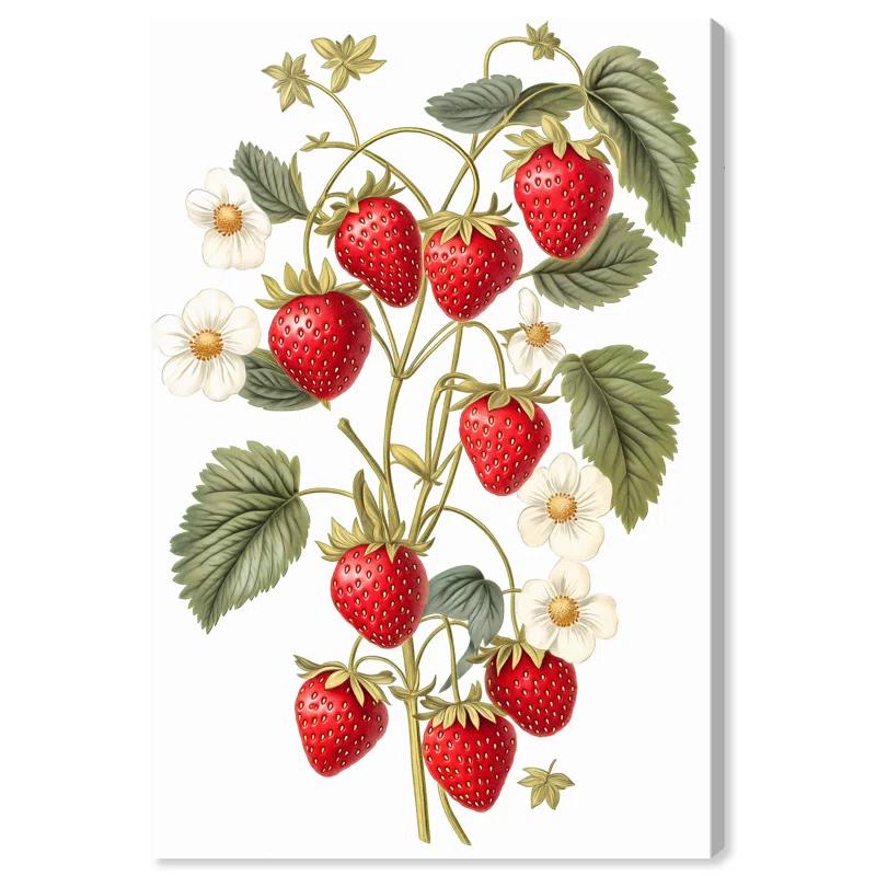 Art Remedy Leafed Berry Canvas Vintage Prints by Art Remedy