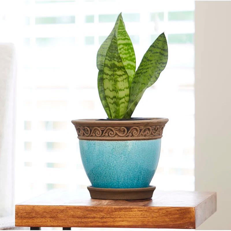 Southern Patio® Cadiz Ceramic Pot Planter with Saucer (Set of 2)