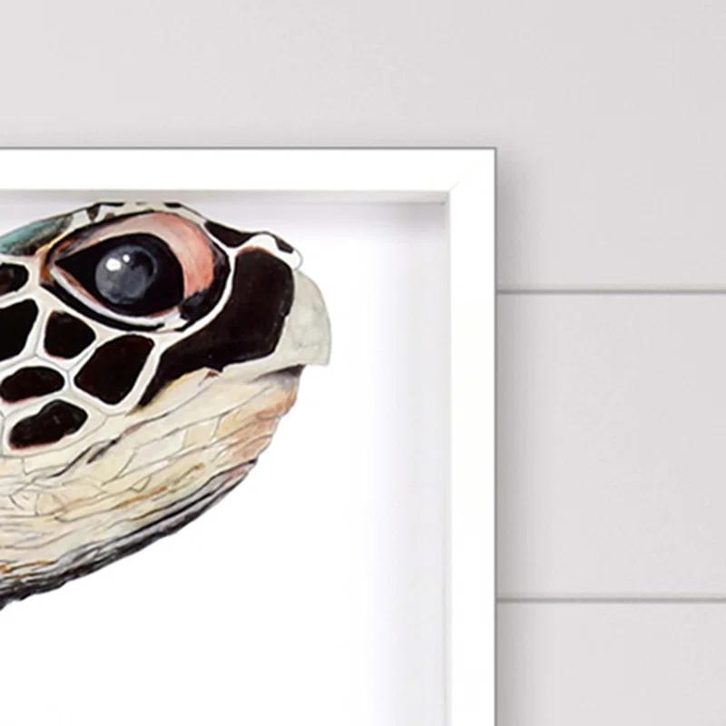 Paragon " Great Sea Turtle "