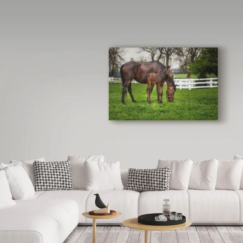 Trademark Fine Art Galloimages Online " Mare And Foal Together " by Galloimages Online