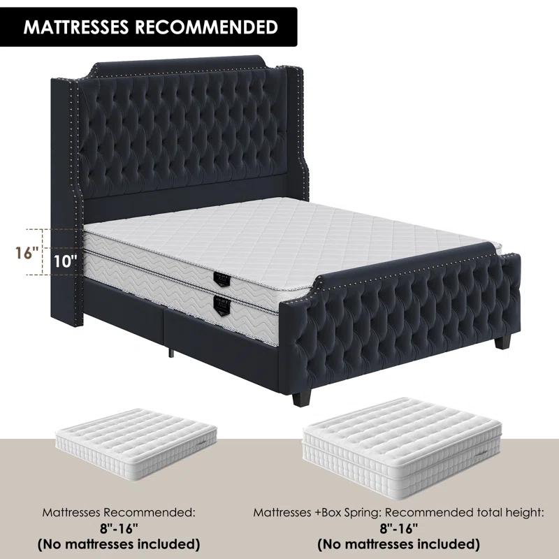 Andover Mills™ Kohlmeier Luxury Upholstered Bed, Tall Tufted Wingback Headboard with Nailhead Trim