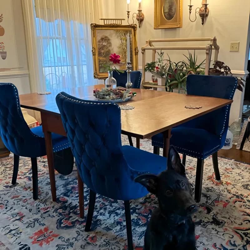Rosdorf Park Velvet Kitchen Upholstered Dining Chair (Set of 4)