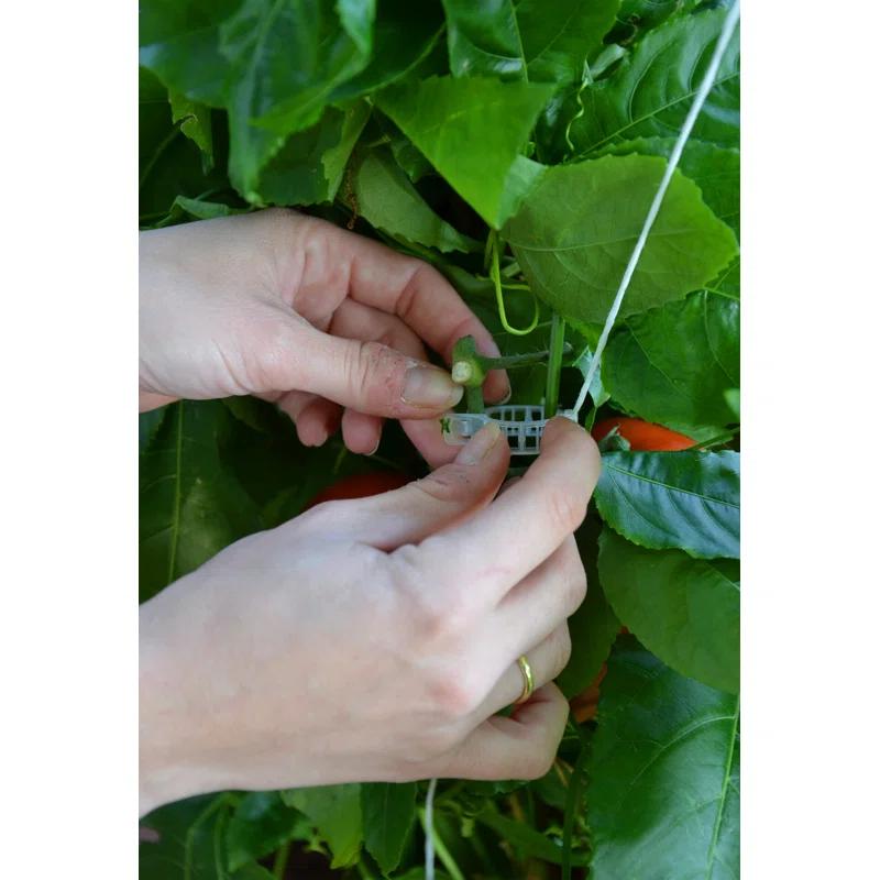 Canopia Palram - Canopia Greenhouse Trellising Kit