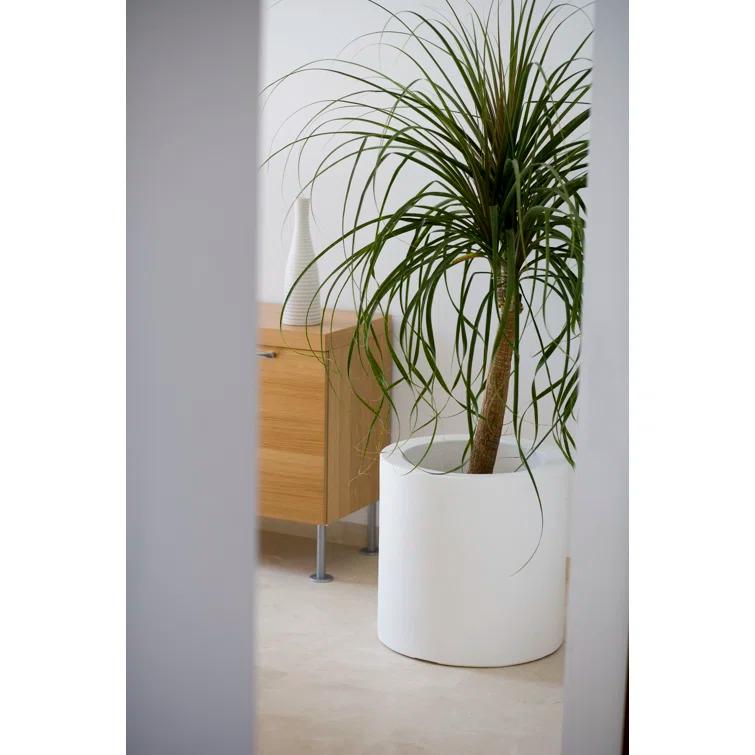 Ecru Cilindro Self-Watering Planter, 31.5" Polyethylene