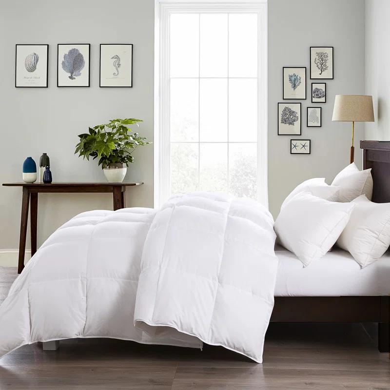 Alwyn Home Twin 600in³/oz Fill Power Winter Goose Down Comforter