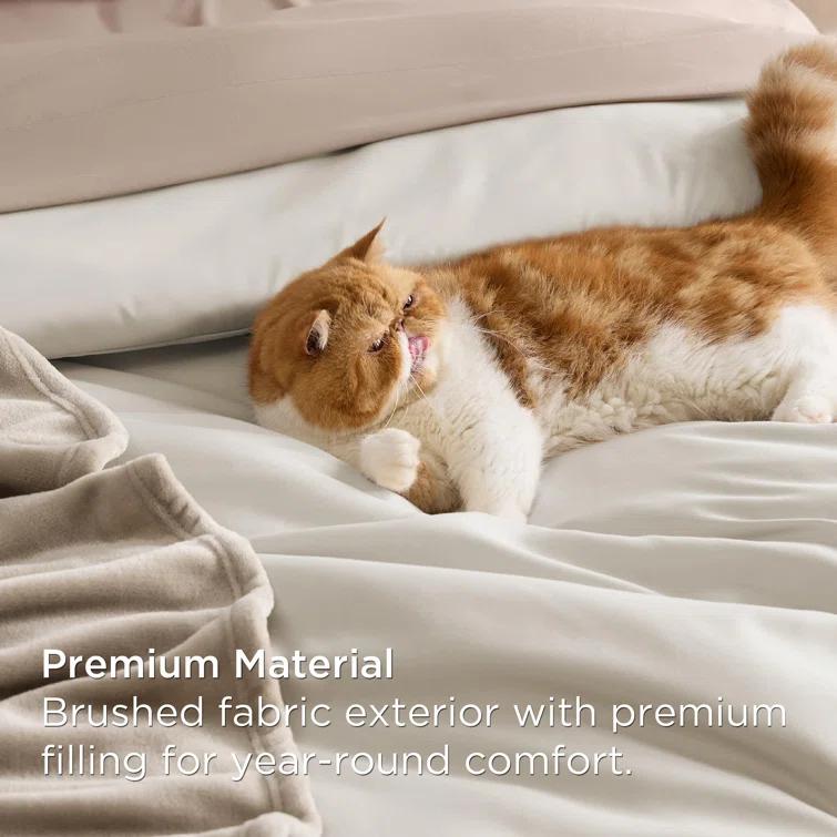 Bedsure Bedsure Prewashed Bedding Set with Soft Fleece Microfiber Bed Blanket