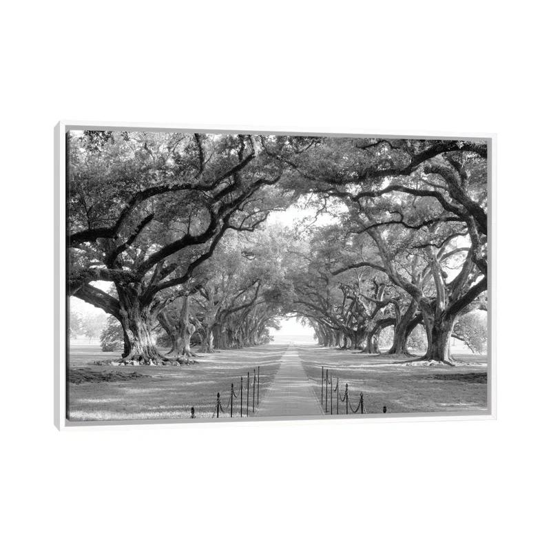 Brick Path Through Alley of Oak Trees, Louisiana, New Orleans, USA Black and White I by Panoramic Images - Graphic Art Print on Canvas