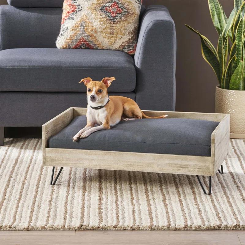 Tucker Murphy Pet™ Kaylor Mid Century Modern Dog Sofa