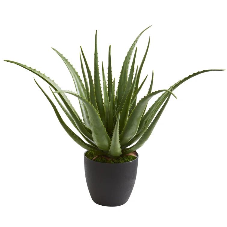 Union Rustic 26'' Faux Agave Plant in Planter