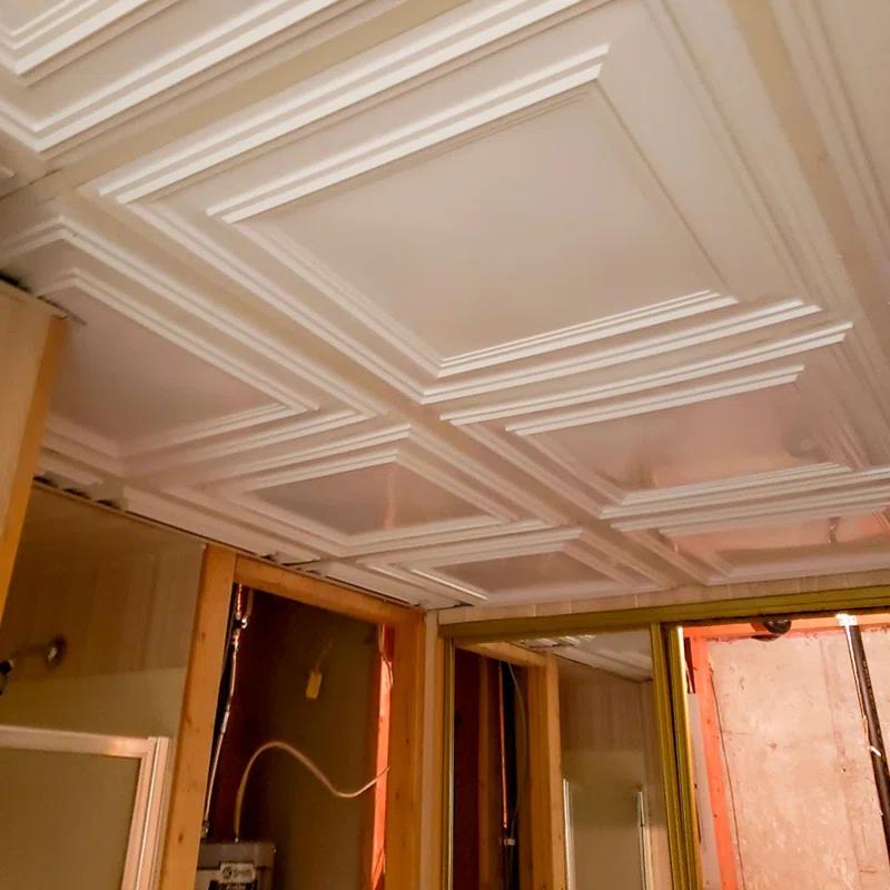 FromPlainToBeautifulInHours Economy Drop-In PVC Ceiling Tile (Set of 50)