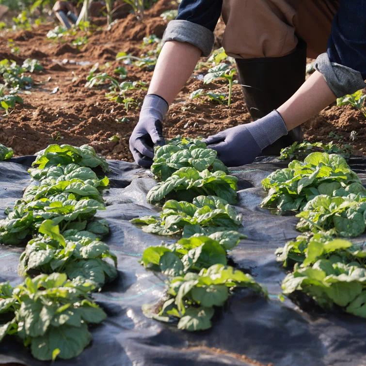 e-Joy Black Weed Barrier Landscape Premium Fabric-Heavy Duty Woven Ground Cloth With Superior Permeability Weed Control Convenient Design