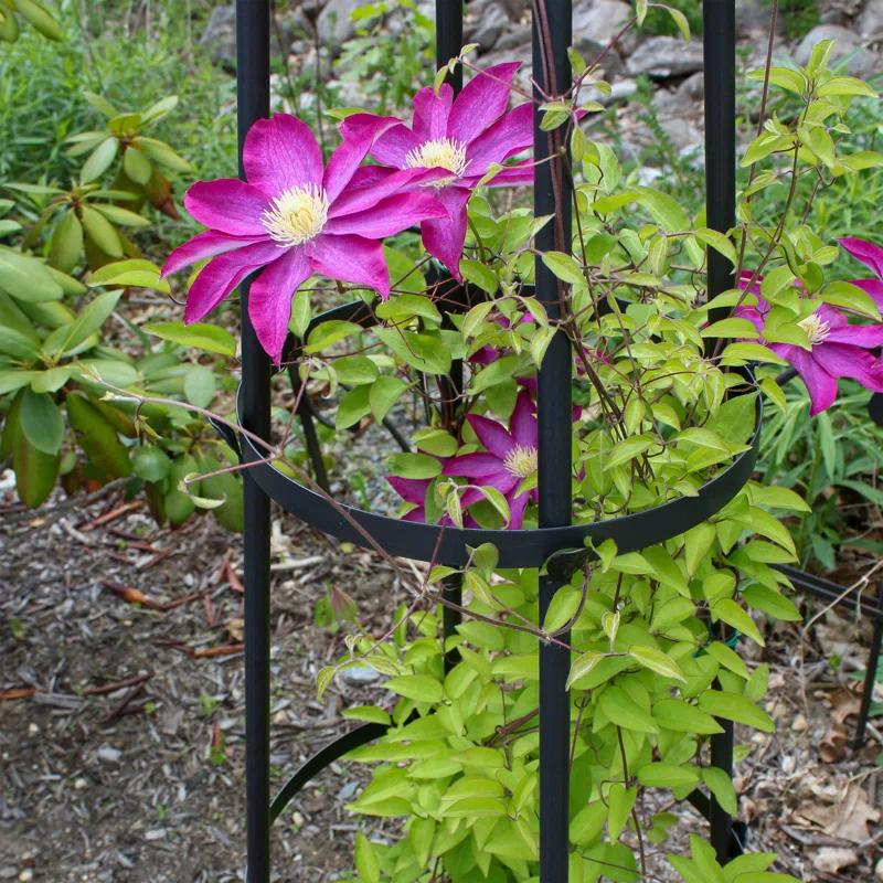 Latitude Run® Alarcon-Chacon 84'' H x 13'' W Iron Obelisk Trellis