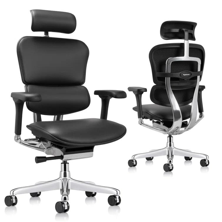 Eurotech Seating Ergohuman Executive Chair with Headrest