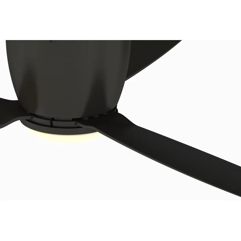 Fanimation Embrace 52'' Ceiling Fan with LED Lights