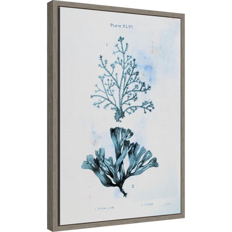 Winston Porter Blue Bay VIII by Deborah Revell Framed Canvas Wall Art Print