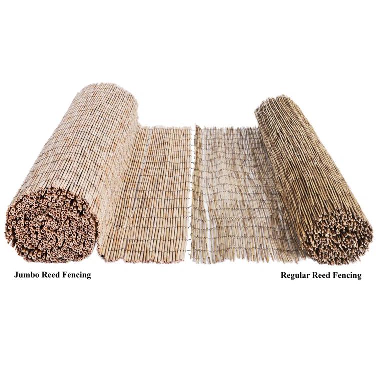 Backyard X-Scapes 6 ft. H x 16 ft. W Natural Jumbo Reed Fence Decorative Garden Fencing Divider