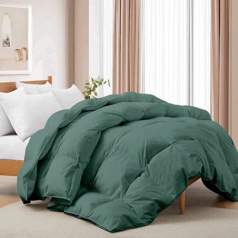 Alwyn Home 600 Fill Power All Seasons Down Comforter