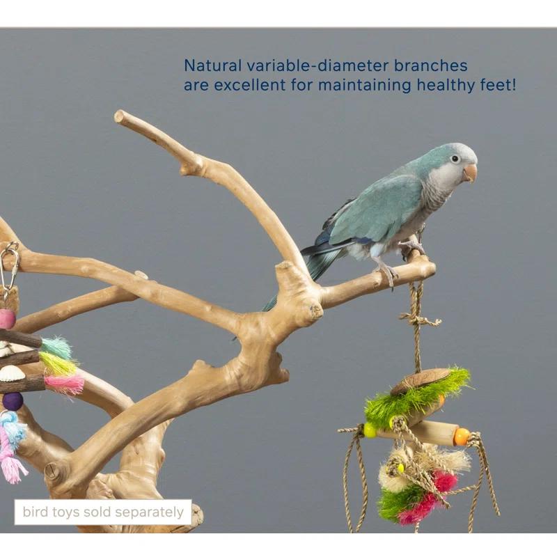 Tucker Murphy Pet™ Freeport One-of-a-Kind 22.5'' Wood Bird Play Stand for Table Top